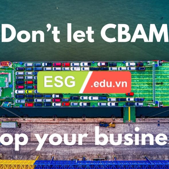 Audited CBAM Reporting Accounting Services