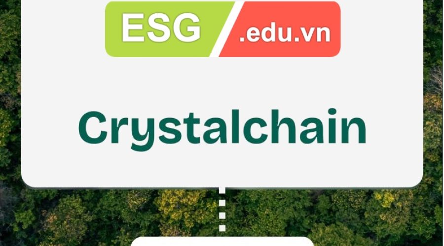 ESG Education & Business và Crystalchain thiết lập hợp tác chiến lược ĐỘC QUYỀN phát triển tín chỉ carbon minh bạch trong lĩnh vực biochar