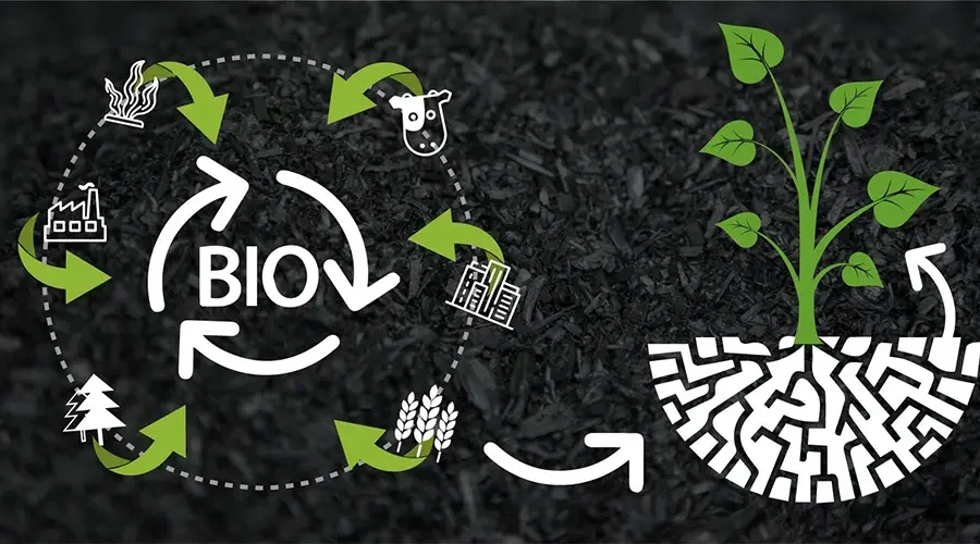 Vai trò của than sinh học trong việc đạt được các mục tiêu phát triển bền vững