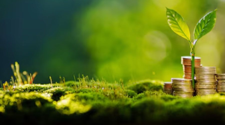 Fintech xanh, dữ liệu ESG và hạ tầng số – Nền tảng huy động vốn bền vững cho Việt Nam