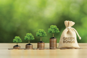 Trái phiếu xanh, trái phiếu bền vững và trái phiếu chuyển tiếp: Động lực huy động vốn quy mô lớn cho chuyển đổi xanh của Việt Nam